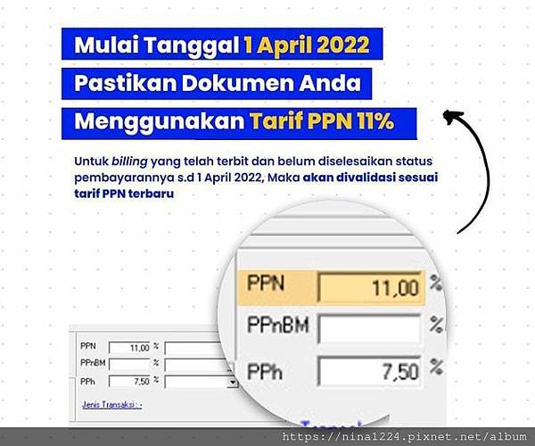 PPN 10-11 percent_ninaindo.jpeg