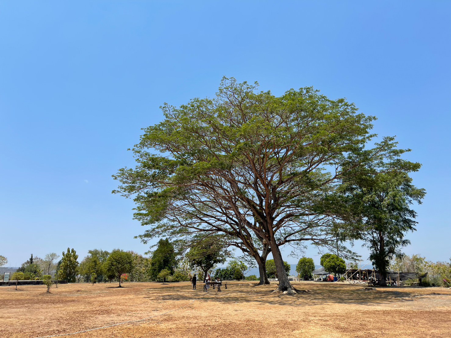 RatuBoko.nina9